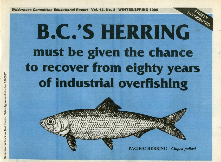 BC's Herring must be given the chance to recover from eighty years of